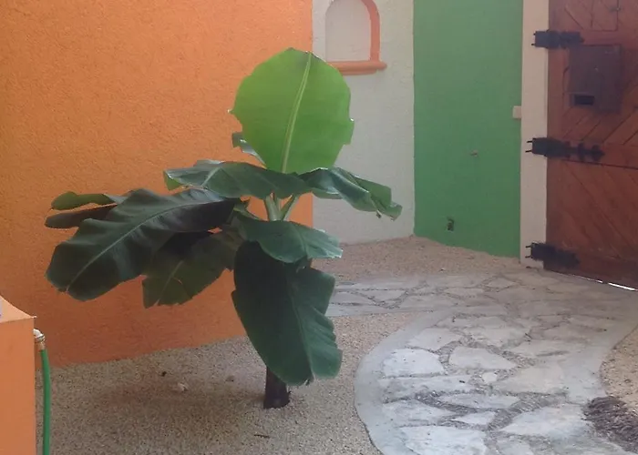 Casa Anua Pensión
